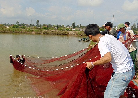 TÌNH TRẠNG SẢN XUẤT VÀ KHAI THÁC THỦY SẢN TRÊN THẾ GIỚI