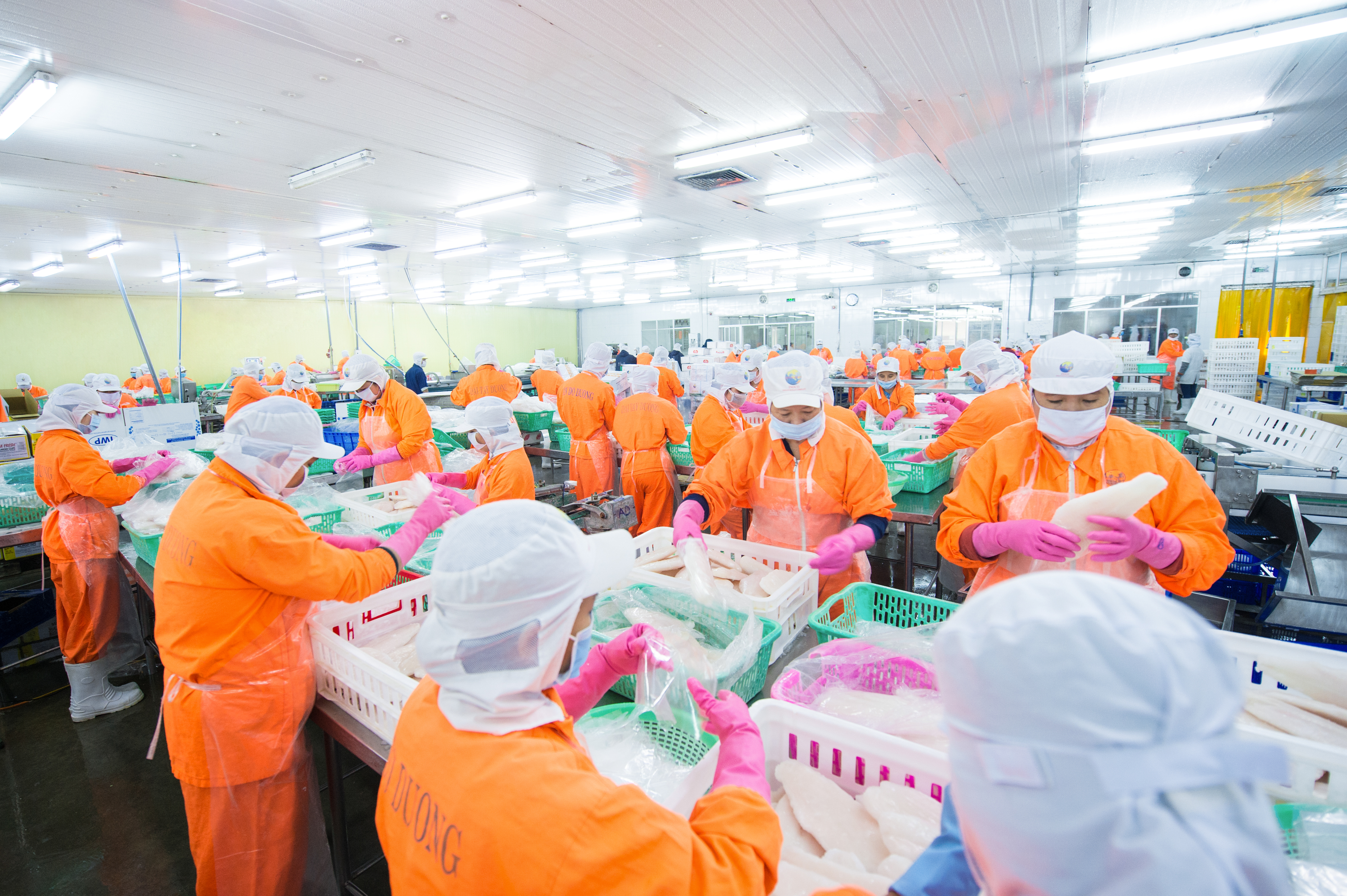 Nam Viet Corporation solves inventory in Covid-19 period